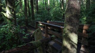 Emma onlyfans 13 May  2020