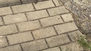 dannymancinixxx slag