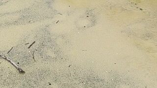 indiannarajung ardent ladies twirl juicy ass