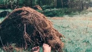 solazola lustful mommy shows charms