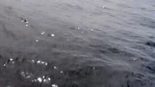 yungmedusa cute pussy showing boobs