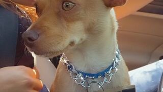 xoxonastya green haired sweater cuddles