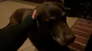 babybeepers gorgeous bitch bares her breasts