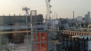 xmandyfoxxx  Mature bitch