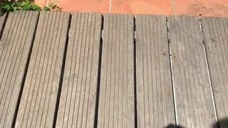 Emmanuelle Noire whore