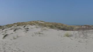 veronagymnast   Sultry chick