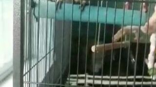 charlotte 04 December 2020