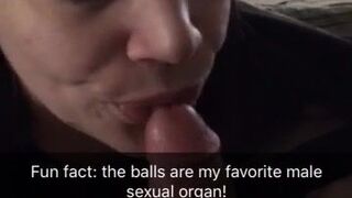 brooklynspringvalley 19 January 2021