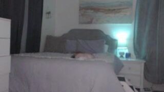 Queen Bambi Tattooed girls transvestites