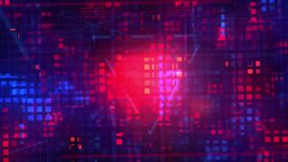 paypeaches hot bitches show slut shapes