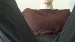 lacypet 18 August 2020