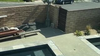 Viking Barbie onlyfans dancing near the christmas tree