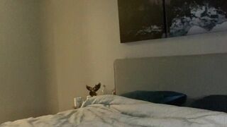 Katrina Marie onlyfans charming bitch jerks pussy and cums