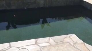 August Taylor onlyfans Graceful bitch