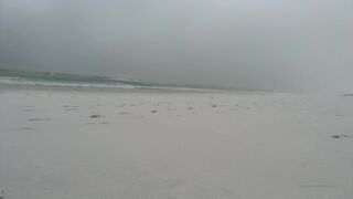 Abby Opel onlyfans smart slut