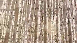 AJ AppleGate onlyfans cutie kneads big tits