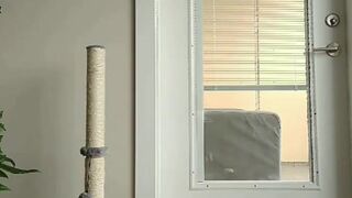 spoiledbratcat onlyfans 18 july 2020