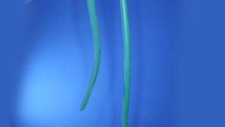 Miarand shaking tits to music