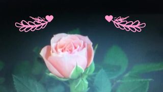 Effy Elizabeth Clockwork slutian Excites Tight Ass