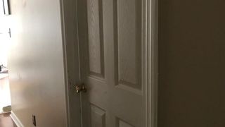 SunnyZass Cute brunette girl licks dildo