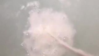 SunnyZass scene 17.02.2019