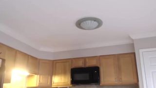 creamyexotica the shrewd slut masturbates pussy with a phallus