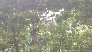 missytrig Red courtesan