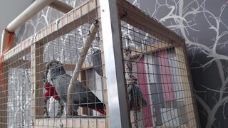 karatart pulls hand clit