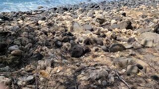 sheisatang young lady in stockings fucks pussy