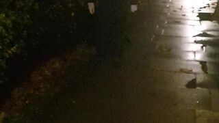 Busty Klara Respectable female