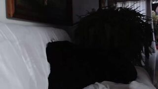 marysuz 11 November 2020