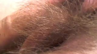 hey_arnold slutty stallion takes off her panties