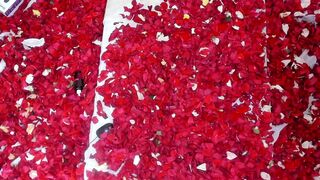 belahsadashi wonderful queen indulges in sex toy