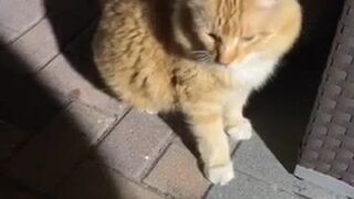 Kayleigh Coxx aka kayleighcoxx84 Playful doll