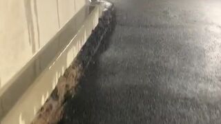 Mistress Karina adorable fucking jerking juicy holes