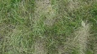 Lilu Moon 21 july 2020