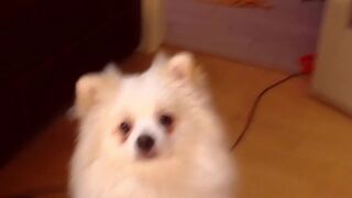 lillpio double orgasm