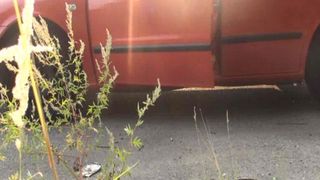 dirtyjuliette MyDirtyHobby lustful mare names boobs