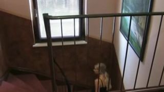 Sherly N18 MyDirtyHobby webcam 1.10.2019