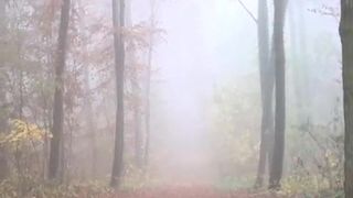 Sharon Privat MyDirtyHobby skin in glasses shows big chest