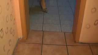 Sexy Engel MyDirtyHobby record 13.10.2019