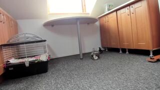 anabel054 Obstinate chick