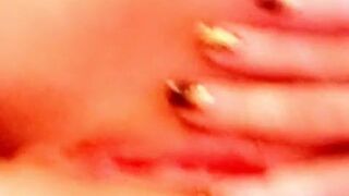 summerhart chubby mare in honor of the holiday shows its bust