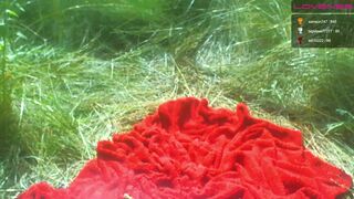 sexyfoxyred whore chick caresses shaved cunt