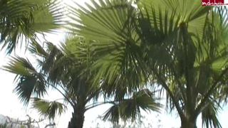 Popp Sylvie MyDirtyHobby broadcast 10.09.2019