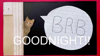 internet_famous 03 april 2020