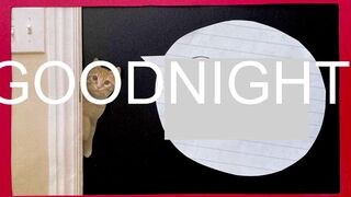 internet_famous Beautiful girl performs a great blowjob