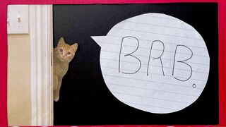 internet_famous exquisite  girl  masturbates relish anus