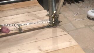 Mistress Courtney aka misscourtneym onlyfans Ardent baby