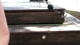 kittytinypaws Adorable curva